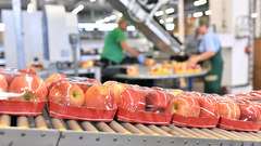 The Ultimate Guide to Choosing the Right Food Packaging Supplier in Australia